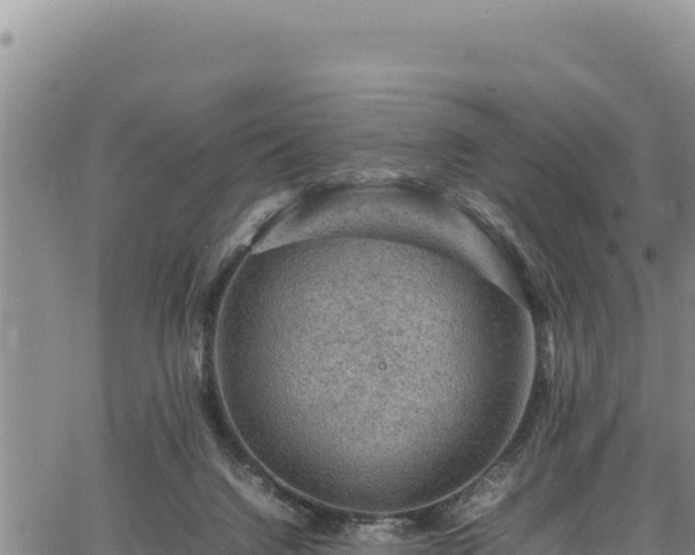 X0000064770072200602131327