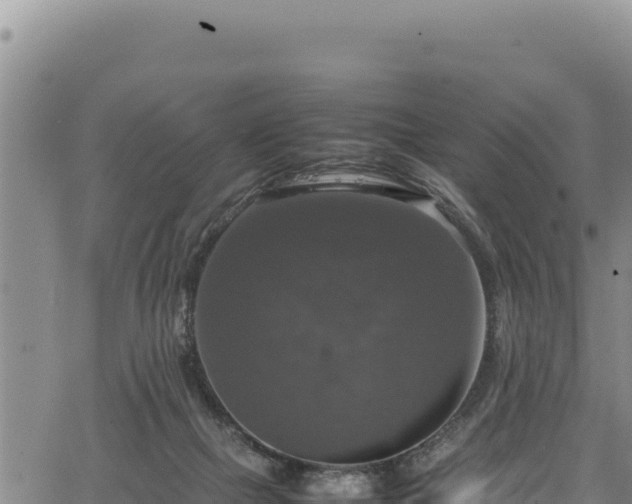 X0000064770073200602131327