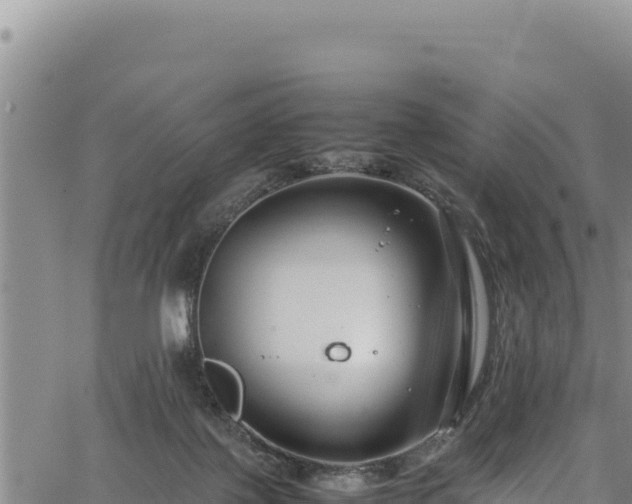 X0000064770075200602131327