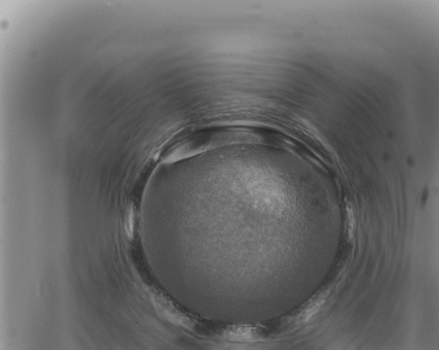 X0000064770076200602131327