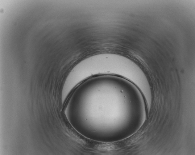 X0000064770077200602131327