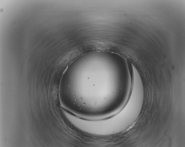 X0000064770078200602131327