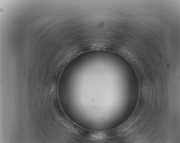 X0000064770079200602131327