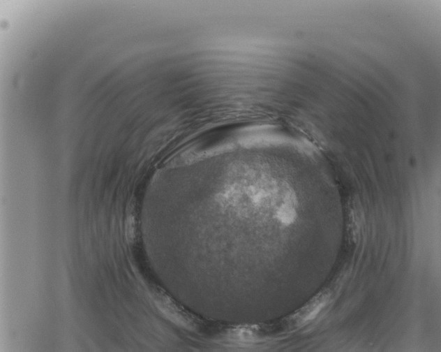 X0000064770080200602131327