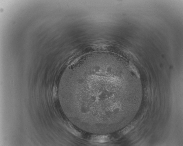 X0000064770081200602131327