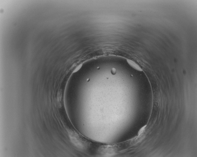 X0000064770082200602131327