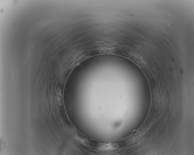 X0000064770083200602131327