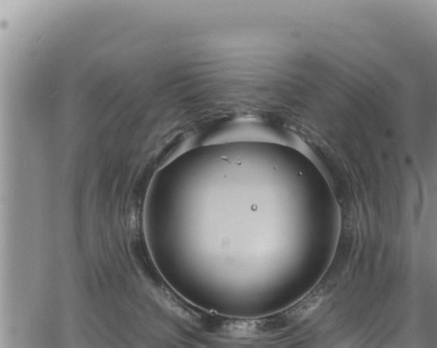 X0000064770084200602131327