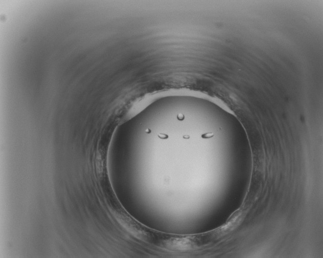 X0000064770086200602131327