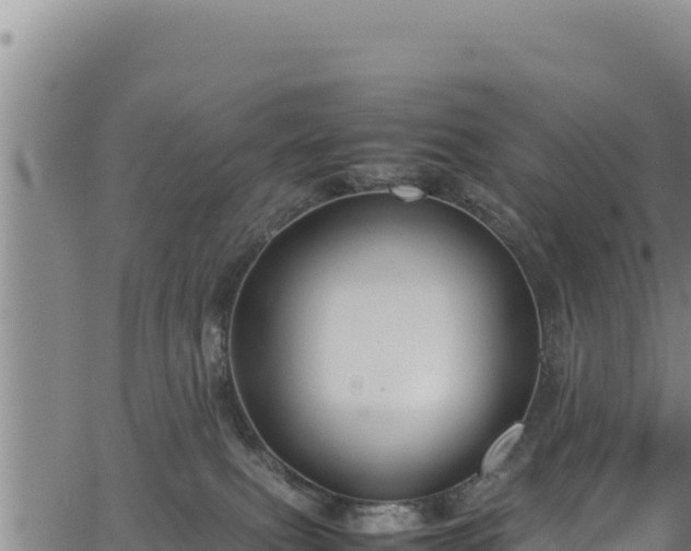 X0000064770087200602131327