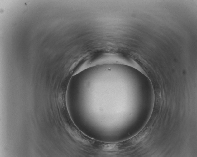 X0000064770088200602131327