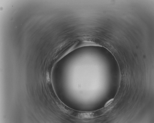 X0000064770089200602131327