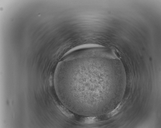 X0000064770090200602131327