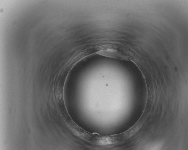 X0000064770091200602131327