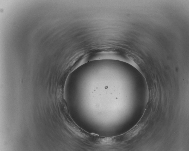 X0000064770092200602131327