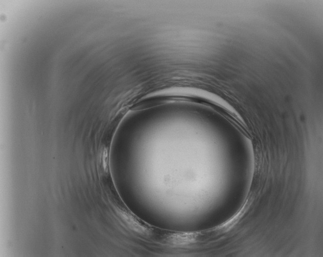 X0000064770094200602131327