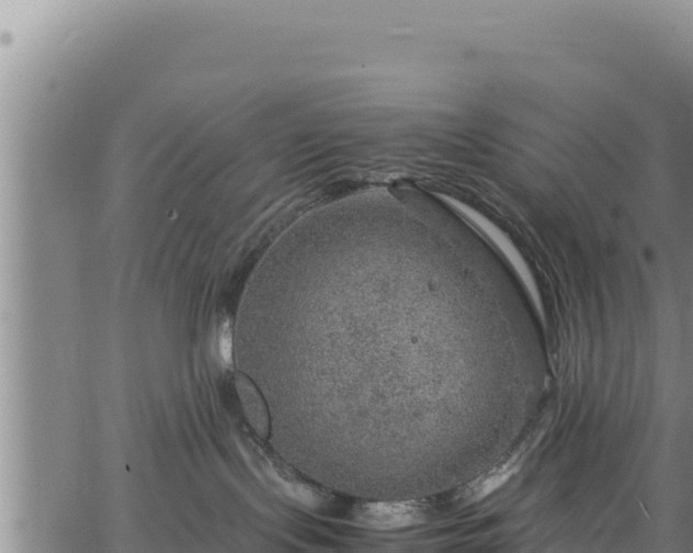 X0000064770095200602131327