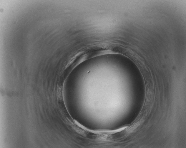 X0000064770096200602131327