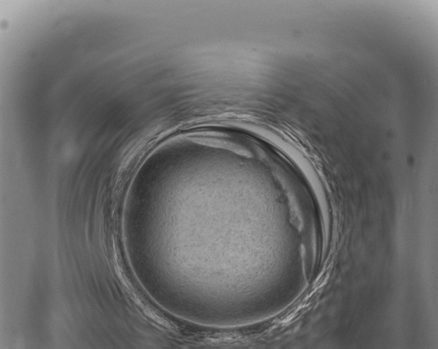 X0000064770097200602131326