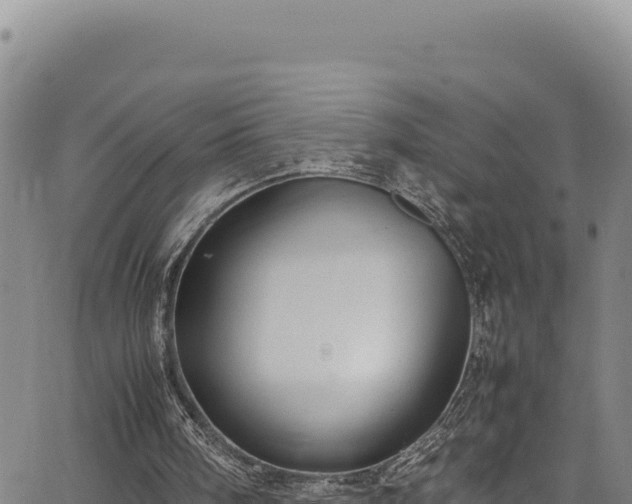 X0000064770098200602131326