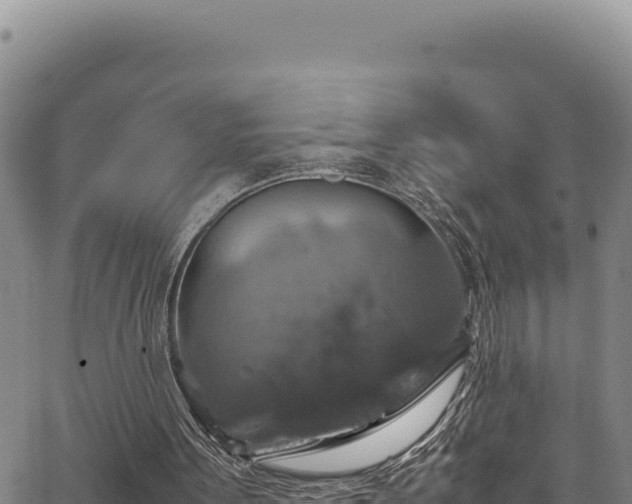 X0000064770099200602131326