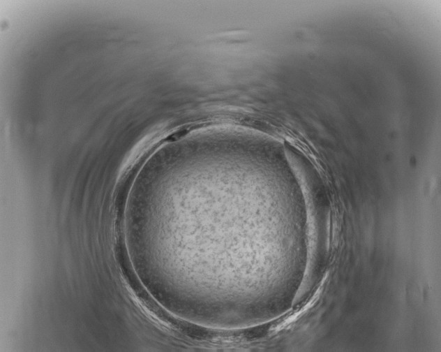 X0000064770101200602131326