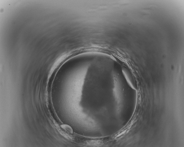 X0000064770102200602131326