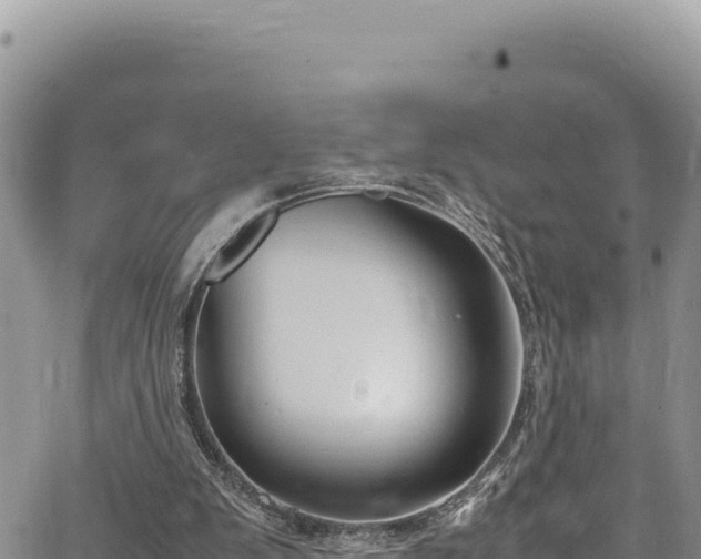 X0000064770103200602131326