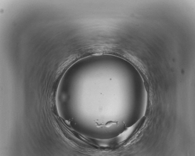 X0000064770105200602131326