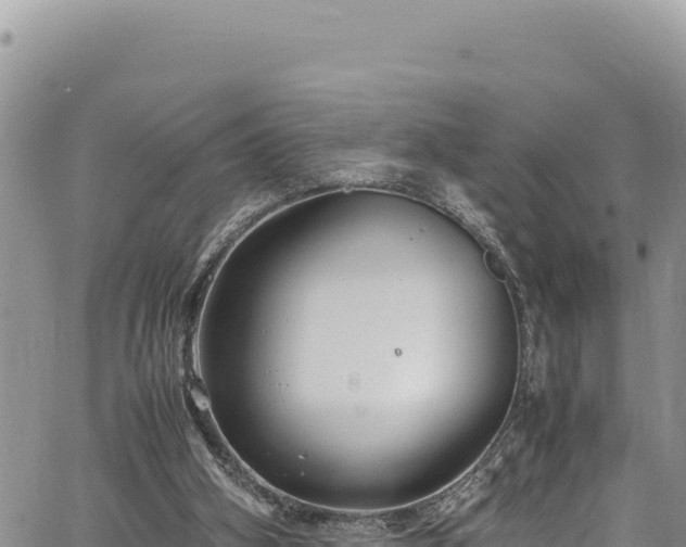 X0000064770106200602131326