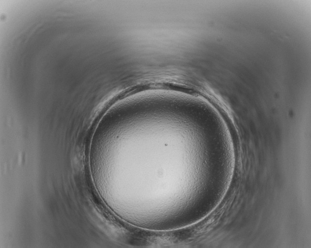 X0000064770107200602131326