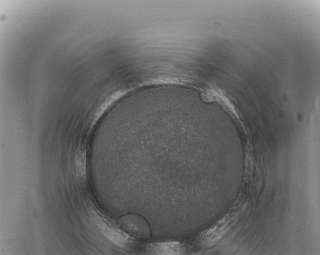 X0000064770108200602131326