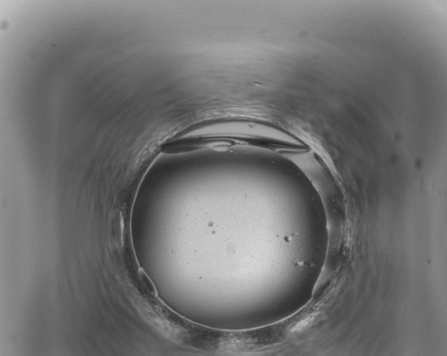 X0000064770109200602131326