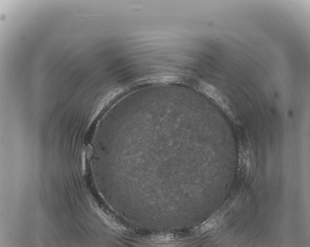 X0000064770110200602131326