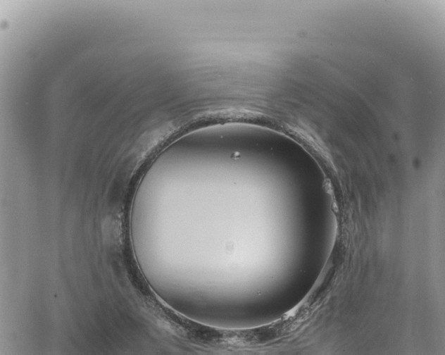 X0000064770111200602131326