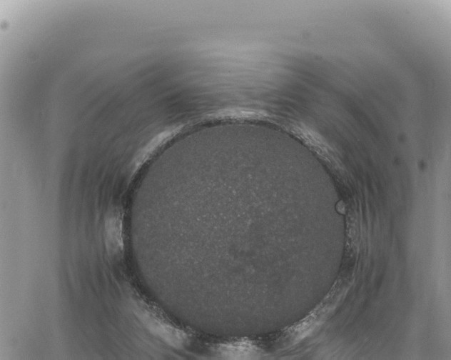 X0000064770112200602131326