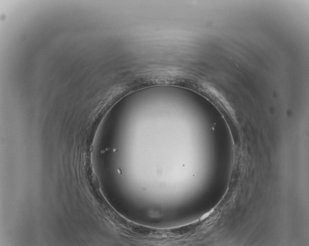 X0000064770113200602131326