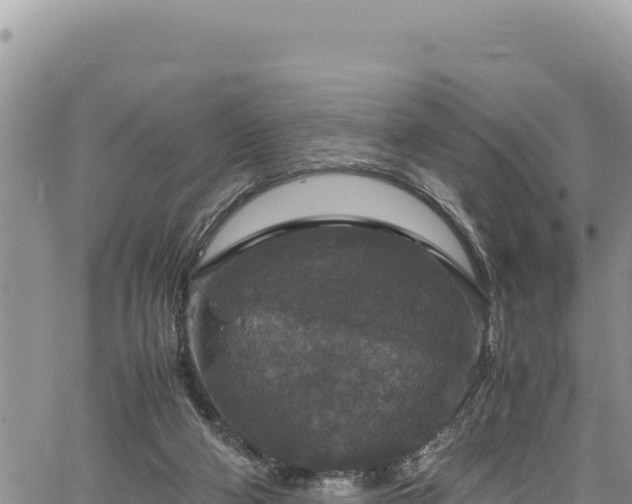 X0000064770114200602131326