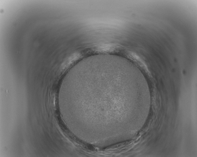 X0000064770115200602131326