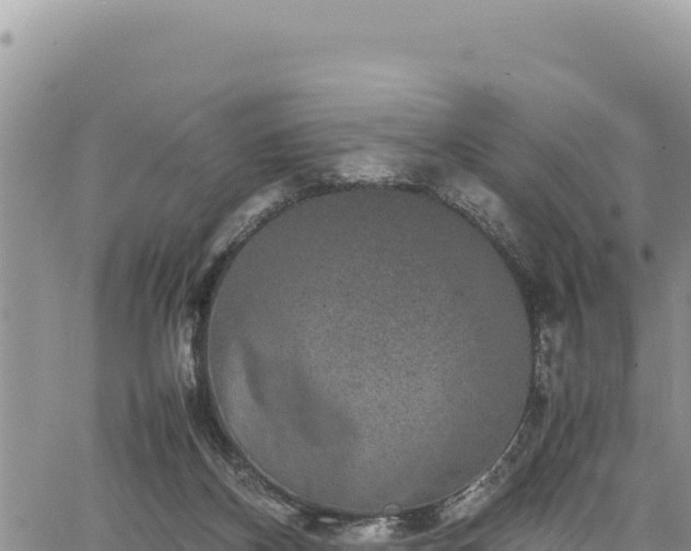 X0000064770116200602131326