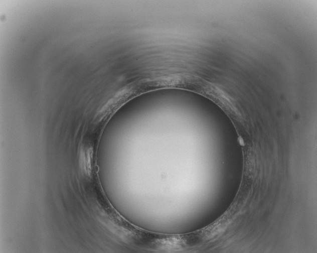 X0000064770118200602131326