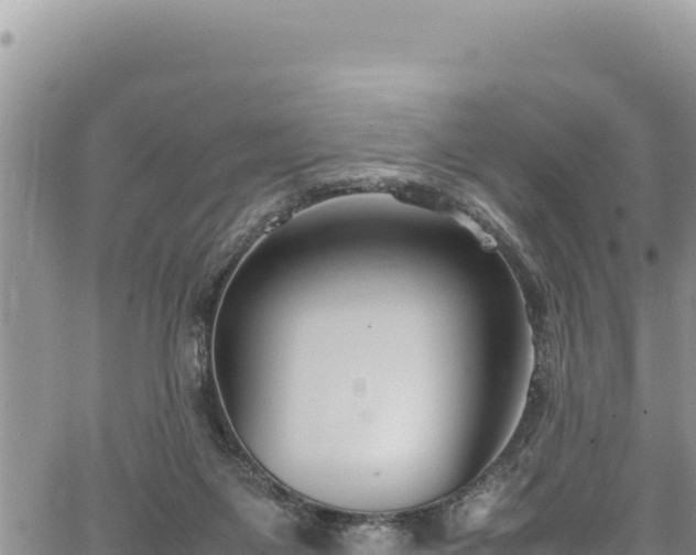 X0000064770119200602131326