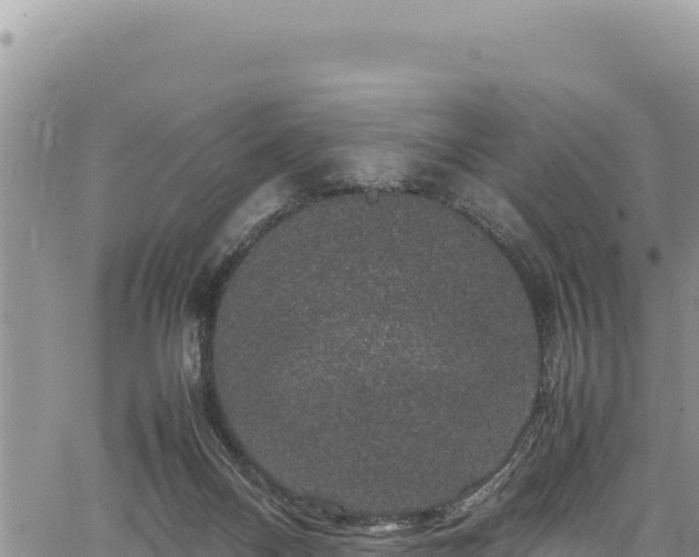 X0000064770120200602131326