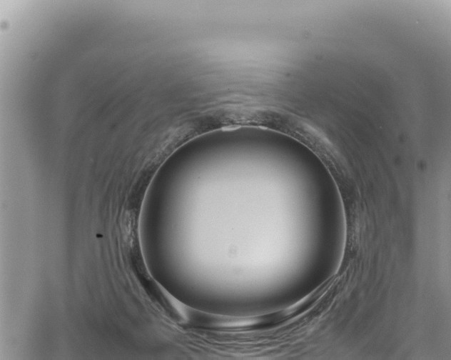 X0000064770121200602131326