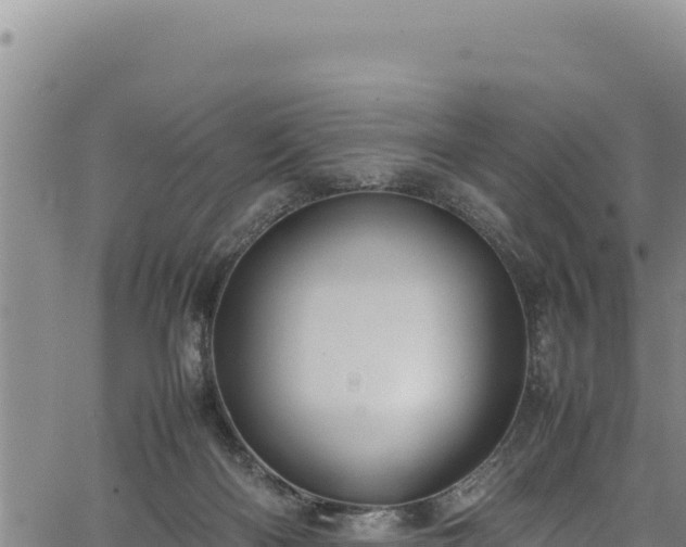 X0000064770122200602131326