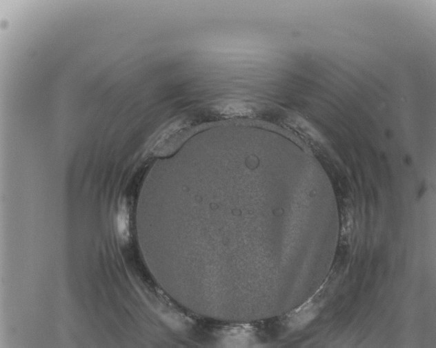 X0000064770124200602131326