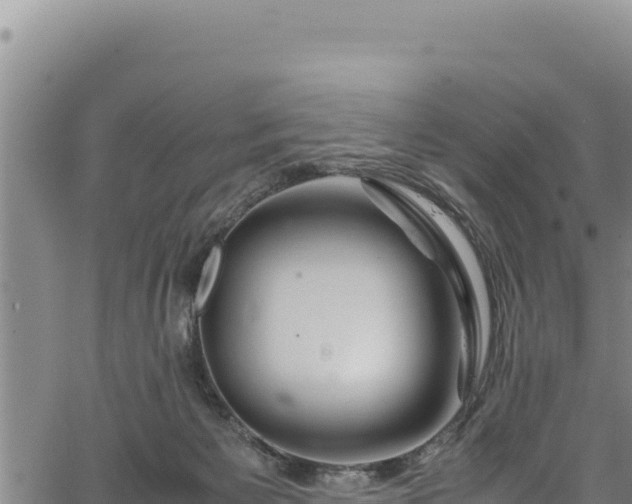 X0000064770125200602131326