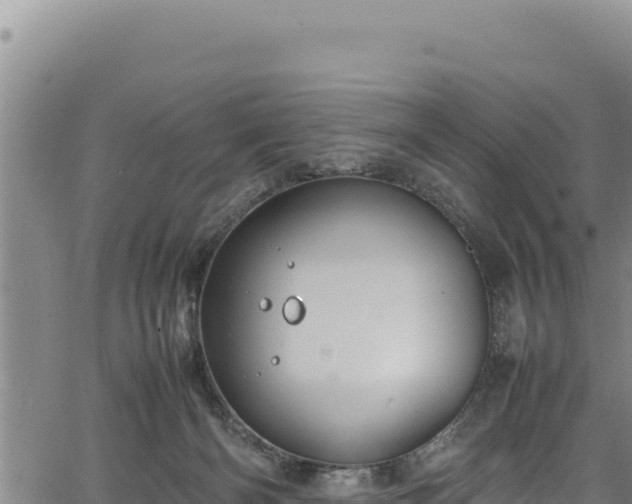 X0000064770126200602131326