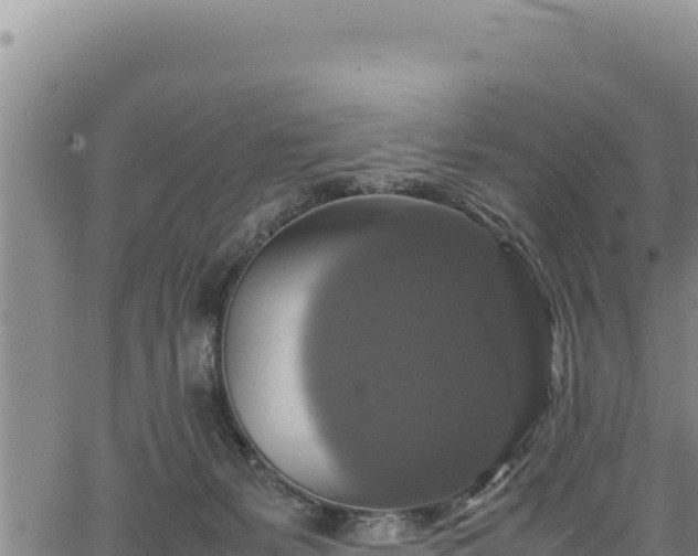 X0000064770127200602131326