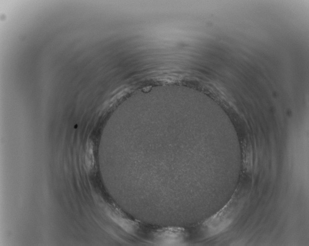 X0000064770128200602131326